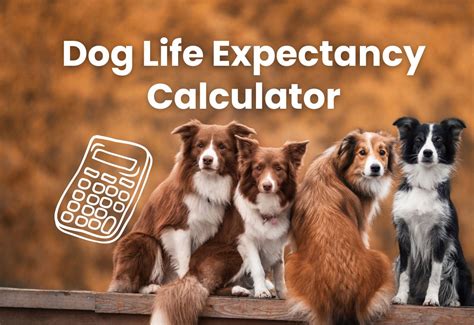  Life Expectancy Calculator! Simulate Your Way to Digital Immortality